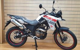 UM DSR ADVENTURE TT